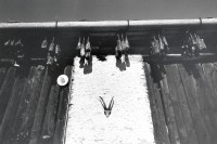 Image of sheet 19900010 photo 9: B