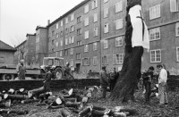Image of sheet 19900040 photo 14: Bewohnerinnen protestieren gegen die Fällung einer 70ig jährigen Kastanie, städtische Wohnsiedlung Erismannhof, Zürich 1990.

Ein Leintuch mit einem aufgemalten Kreuz hängt am Baum. Protest Zürich 1990 √ wood tree protest 
In urban housing development Erismannhof an old chestnut will be cut
Switzerland Swiss kreis vier Aussersihl Europe