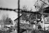 Image of sheet 19900060 photo 34: In Ollon wehrt sich ein ganzes Dorf gegen die NAGRA Grabungen. 
NAGRA: Die Nationale Genossenschaft für die Lagerung radioaktiver Abfälle, kurz Nagra, mit Sitz in Wettingen ist für die Endlagerung der in der Schweiz anfallenden radioaktiven Abfälle und die damit verbundenen Forschungs- und Projektierungsarbeiten verantwortlich.

The National Cooperative for the Disposal of Radioactive Waste
Sie baut dort Vorbereitungskanäle. Der Enteignungsprozess läuft. Es besteht noch möglichkeit für Einsprache. Die kantonalen Behörden machen  Einspruch. Es stehen Tafeln an der Strasse. 'Vaudois on viole notre Terre.' La Cedra dehors. CEDRA =  NAGRA Nr. 26 M Me. Bernadette Genevay 1867 Salaz Ollon Tel. 025 39 18 19 mit Hund.
'A Ollon Jamais' Mme et Mons. Monnod Nr. 35 Mons. André Willy Nr. 18 li. Mons. Favre von der NAGRA Nr. 17 Die Kavernen sollen 250'000 q meter gross werden und für 20 Jahre benützt werden! bis sie voll sind.
VD Vaud 1990 
Zürich
Atomenergie Atomstrom Atom Nuklear 
Les Vaudois ont dit non Protest