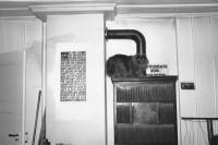 Image of sheet 19900130 photo 10: Portrait Achmed von Warthburg in seinem Schlafzimmer und vor dem Ofen in der städtischen Siedlung Erismannhof. An der Seebahnstrasse. Erbaut 1927 unter SP Stadtrat Erismann, für die Bahnarbeiter.
Achmed von Wartburg Katze auf dem Ofen. Zürich 1990 √