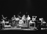 Image of sheet 19900180 photo 16: Zeena Parkins im Konzert mit »Keep the Dog« (mit Fred Frith) in der Roten Fabrik, Zürich 1990.