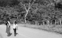 Image of sheet 19900220 photo 14: M