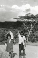 Image of sheet 19900220 photo 15: Nicaragua 1990 √