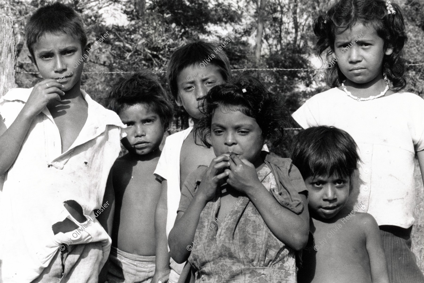 Image of sheet 19900220 photo 6: arme Kinder Gruppenbild Land Jinotega Asturias Nicaragua 1990 √ niños children boys girls Group central america indigenos indigenas indigene indios farmer