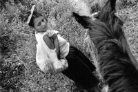 Image of sheet 19900230 photo 10: s