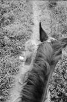 Image of sheet 19900230 photo 11: Ki