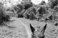 Image of sheet 19900230 photo 12: K