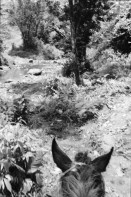 Image of sheet 19900230 photo 7: N