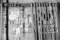 Image of sheet 19900280 photo 22: Te