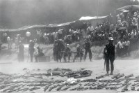 Image of sheet 19900310 photo 9: Kriegswaffen die die Contra-Rebellen von den Sandinisten erbeuteten, Yamales Honduras 1990.
Die Waffen werden im Friedensprozess den UNO UN - Schutztruppen übergeben, Honduras. Yamales 04.90 1990 √
Contra Rebels Antisandinisten These unusable weapons from the contra troops are to be destroyed by UN peacekeepers weapon war soldier army rebels AK-47 rifle old contra rebels munition war