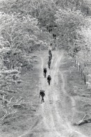 Image of sheet 19900340 photo 20: Mit dem US-Sturmgewehr Bewaffnete Contra rebellen auf dem Weg in die Sicherheitszone der CIAV OEA UN-Friedenstruppen. Las Colinas Nicaragua 1990 √

Contras o contra (acortamiento de contrarrevolucionarios o contrarrevolución) es el nombre dado a los diferentes grupos insurgentes opuestos al gobierno del Frente Sandinista de Liberación Nacional (FSLN)