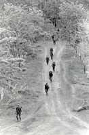 Image of sheet 19900340 photo 21: Contrasoldaten während des Marschs in die Sicherheitszone, um sich dort durch die UN-Truppen zu entwaffnen. Nicaragua 1990