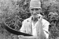 Image of sheet 19900360 photo 8: Dieser alte Kaffee bauer mit der Machete, dem Buschmesser und dem Strohhut, möchte einfach einmal wieder ruhig seiner Arbeit nachgehen. Nicaragua 1990 √
 
coffee farmer harvest farming Portrait hat hut work working straw old man