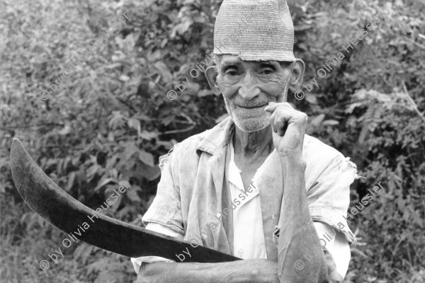 Image of sheet 19900360 photo 8: Dieser alte Kaffee bauer mit der Machete, dem Buschmesser und dem Strohhut, möchte einfach einmal wieder ruhig seiner Arbeit nachgehen. Nicaragua 1990 √
 
coffee farmer harvest farming Portrait hat hut work working straw old man