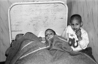Image of sheet 19900450 photo 19: Eine Rom Zigeunerin in der psychiatrischen Klinik von Zärnesti hält sich sehr gepflegt. Im Altersheim von Timisul de Sus leben ausgestossene und kranke Kinder. Diese schrecklichen Orte für Kinder werden aber von div. Hilfsorganisationen aus der ganzen Welt unterstützt und die Situation sollte sich bald wieder verbessern. Unter den Leintücher sitzt eine Romni Roma und alter Mann. kalgeschorene Buben im Kinderbett oft zu zweit. Brasov Timisul de Sus
Rumania Romania Rumänien 1990