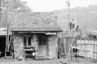 Image of sheet 19900470 photo 0: Mädchen und Buben mit Puppe vor einem Holzzaun, Săcele, Rumänien 1990.
Girls and boys in front of a wooden fence, with doll in a Romanian village of Hungarian original Roma families