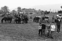 Image of sheet 19900470 photo 19: Diesen Sonntag vor den Wahlen ist Pferdemarkt . Viele Bauern hier sprechen noch Deutsch und sind Sachsen. Biertan Rumänien Romania Rumania 1990 √ horse market Sunday 

The Roma (Roma in Romani; Romi or Țigani in Romanian) constitute one of the largest minorities in Romania. According to the 2011 census, they number 619,007 people or 3.2% of the total population, being the second-largest ethnic minority in Romania after Hungarians. The Roma are Romania's most socially and economically disadvantaged minority, with high illiteracy levels