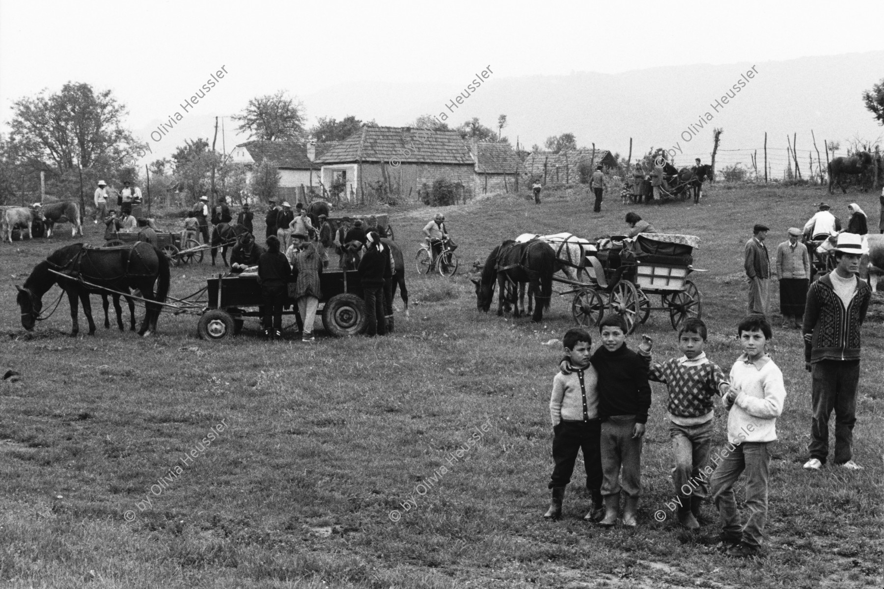 Image of sheet 19900470 photo 19: Diesen Sonntag vor den Wahlen ist Pferdemarkt . Viele Bauern hier sprechen noch Deutsch und sind Sachsen. Biertan Rumänien Romania Rumania 1990 √ horse market Sunday 

The Roma (Roma in Romani; Romi or Țigani in Romanian) constitute one of the largest minorities in Romania. According to the 2011 census, they number 619,007 people or 3.2% of the total population, being the second-largest ethnic minority in Romania after Hungarians. The Roma are Romania's most socially and economically disadvantaged minority, with high illiteracy levels