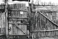 Image of sheet 19900470 photo 2: Hinter einem Holz zaun in einem rumänischen Dorf ungarisch Stämmiger Roma Romi leben Roma familien mit ihren Kindern. Sie stecken ihre Händer durch den Latten zaun.
Behind a wooden fence and a door in a Romanian village of Hungarian Romi Roma families. They live with their children and stick their hands through the fence slats. 


Out of: From time to time  / VonZeitzuZeit

Shadows and other Natures