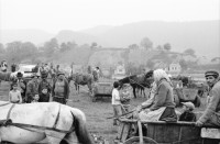 Image of sheet 19900470 photo 20: einem rumänischen Dorf ungarisch Stämmiger Roma Romi leben Roma familien mit ihren Kindern. Sie stecken ihre Händer durch den Latten zaun.
Behind a wooden fence and a door in a Romanian village of Hungarian Romi Roma families. They live with their children and stick their hands through the fence slats. 

 Sacele. Rumänien. 05.90 Rumania Romania 1990 √


The Roma (Roma in Romani; Romi or Țigani in Romanian) constitute one of the largest minorities in Romania. According to the 2011 census, they number 619,007 people or 3.2% of the total population, being the second-largest ethnic minority in Romania after Hungarians. The Roma are Romania's most socially and economically disadvantaged minority, with high illiteracy levels