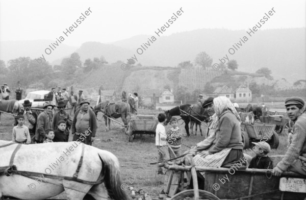 Image of sheet 19900470 photo 20: einem rumänischen Dorf ungarisch Stämmiger Roma Romi leben Roma familien mit ihren Kindern. Sie stecken ihre Händer durch den Latten zaun.
Behind a wooden fence and a door in a Romanian village of Hungarian Romi Roma families. They live with their children and stick their hands through the fence slats. 

 Sacele. Rumänien. 05.90 Rumania Romania 1990 √


The Roma (Roma in Romani; Romi or Țigani in Romanian) constitute one of the largest minorities in Romania. According to the 2011 census, they number 619,007 people or 3.2% of the total population, being the second-largest ethnic minority in Romania after Hungarians. The Roma are Romania's most socially and economically disadvantaged minority, with high illiteracy levels