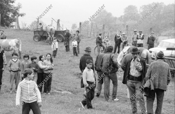 Image of sheet 19900470 photo 21: Hinter einem Holz zaun in einem rumänischen Dorf ungarisch Stämmiger Roma Romi leben Roma familien mit ihren Kindern. Sie stecken ihre Händer durch den Latten zaun.
Behind a wooden fence and a door in a Romanian village of Hungarian Romi Roma families. They live with their children and stick their hands through the fence slats. 

 Sacele. Rumänien. 05.90 Rumania Romania 1990 √

Out of: From time to time  / VonZeitzuZeit

The Roma (Roma in Romani; Romi or Țigani in Romanian) constitute one of the largest minorities in Romania. According to the 2011 census, they number 619,007 people or 3.2% of the total population, being the second-largest ethnic minority in Romania after Hungarians. The Roma are Romania's most socially and economically disadvantaged minority, with high illiteracy levels

copyright by Olivia Heussler