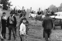 Image of sheet 19900470 photo 22: Diesen Sonntag vor den Wahlen ist Pferdemarkt . Viele Bauern hier sprechen noch Deutsch und sind Sachsen. Biertan Romania, Rumania, Rumänien 1990 √

The Roma (Roma in Romani; Romi or Țigani in Romanian) constitute one of the largest minorities in Romania. According to the 2011 census, they number 619,007 people or 3.2% of the total population, being the second-largest ethnic minority in Romania after Hungarians. The Roma are Romania's most socially and economically disadvantaged minority, with high illiteracy levels