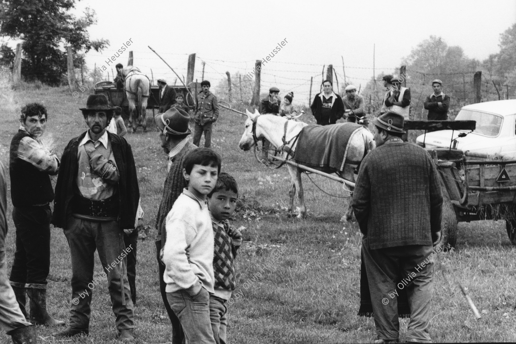 Image of sheet 19900470 photo 22: Diesen Sonntag vor den Wahlen ist Pferdemarkt . Viele Bauern hier sprechen noch Deutsch und sind Sachsen. Biertan Romania, Rumania, Rumänien 1990 √

The Roma (Roma in Romani; Romi or Țigani in Romanian) constitute one of the largest minorities in Romania. According to the 2011 census, they number 619,007 people or 3.2% of the total population, being the second-largest ethnic minority in Romania after Hungarians. The Roma are Romania's most socially and economically disadvantaged minority, with high illiteracy levels