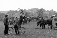 Image of sheet 19900470 photo 24: Viele Bauern hier sprechen noch Deutsch und sind Sachsen. Ein Bauer spielt mit einem Kind. Child play Velo Fahrrad Farmer bike bicicle Biertan Romania, Rumania, Rumänien 1990 √

This Sunday before the election is horse market. Many farmers here still speak German and are axis


The Roma (Roma in Romani; Romi or Țigani in Romanian) constitute one of the largest minorities in Romania. According to the 2011 census, they number 619,007 people or 3.2% of the total population, being the second-largest ethnic minority in Romania after Hungarians. The Roma are Romania's most socially and economically disadvantaged minority, with high illiteracy levels
o. Aufkleber