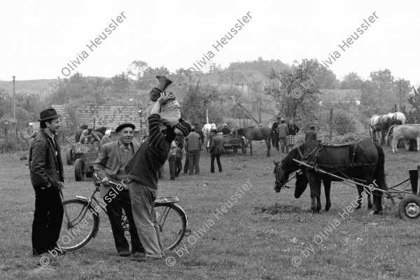 Image of sheet 19900470 photo 24: Viele Bauern hier sprechen noch Deutsch und sind Sachsen. Ein Bauer spielt mit einem Kind. Child play Velo Fahrrad Farmer bike bicicle Biertan Romania, Rumania, Rumänien 1990 √

This Sunday before the election is horse market. Many farmers here still speak German and are axis


The Roma (Roma in Romani; Romi or Țigani in Romanian) constitute one of the largest minorities in Romania. According to the 2011 census, they number 619,007 people or 3.2% of the total population, being the second-largest ethnic minority in Romania after Hungarians. The Roma are Romania's most socially and economically disadvantaged minority, with high illiteracy levels
o. Aufkleber