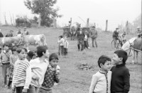 Image of sheet 19900470 photo 25: Hinter einem Holz zaun in einem rumänischen Dorf ungarisch Stämmiger Roma Romi leben Roma familien mit ihren Kindern. Sie stecken ihre Händer durch den Latten zaun.
Behind a wooden fence and a door in a Romanian village of Hungarian Romi Roma families. They live with their children and stick their hands through the fence slats. 

 Sacele. Rumänien. 05.90 Rumania Romania 1990 √

Out of: From time to time  / VonZeitzuZeit

The Roma (Roma in Romani; Romi or Țigani in Romanian) constitute one of the largest minorities in Romania. According to the 2011 census, they number 619,007 people or 3.2% of the total population, being the second-largest ethnic minority in Romania after Hungarians. The Roma are Romania's most socially and economically disadvantaged minority, with high illiteracy levels

copyright by Olivia Heussler