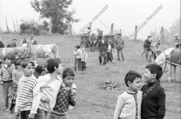 Image of sheet 19900470 photo 25: Hinter einem Holz zaun in einem rumänischen Dorf ungarisch Stämmiger Roma Romi leben Roma familien mit ihren Kindern. Sie stecken ihre Händer durch den Latten zaun.
Behind a wooden fence and a door in a Romanian village of Hungarian Romi Roma families. They live with their children and stick their hands through the fence slats. 

 Sacele. Rumänien. 05.90 Rumania Romania 1990 √

Out of: From time to time  / VonZeitzuZeit

The Roma (Roma in Romani; Romi or Țigani in Romanian) constitute one of the largest minorities in Romania. According to the 2011 census, they number 619,007 people or 3.2% of the total population, being the second-largest ethnic minority in Romania after Hungarians. The Roma are Romania's most socially and economically disadvantaged minority, with high illiteracy levels

copyright by Olivia Heussler