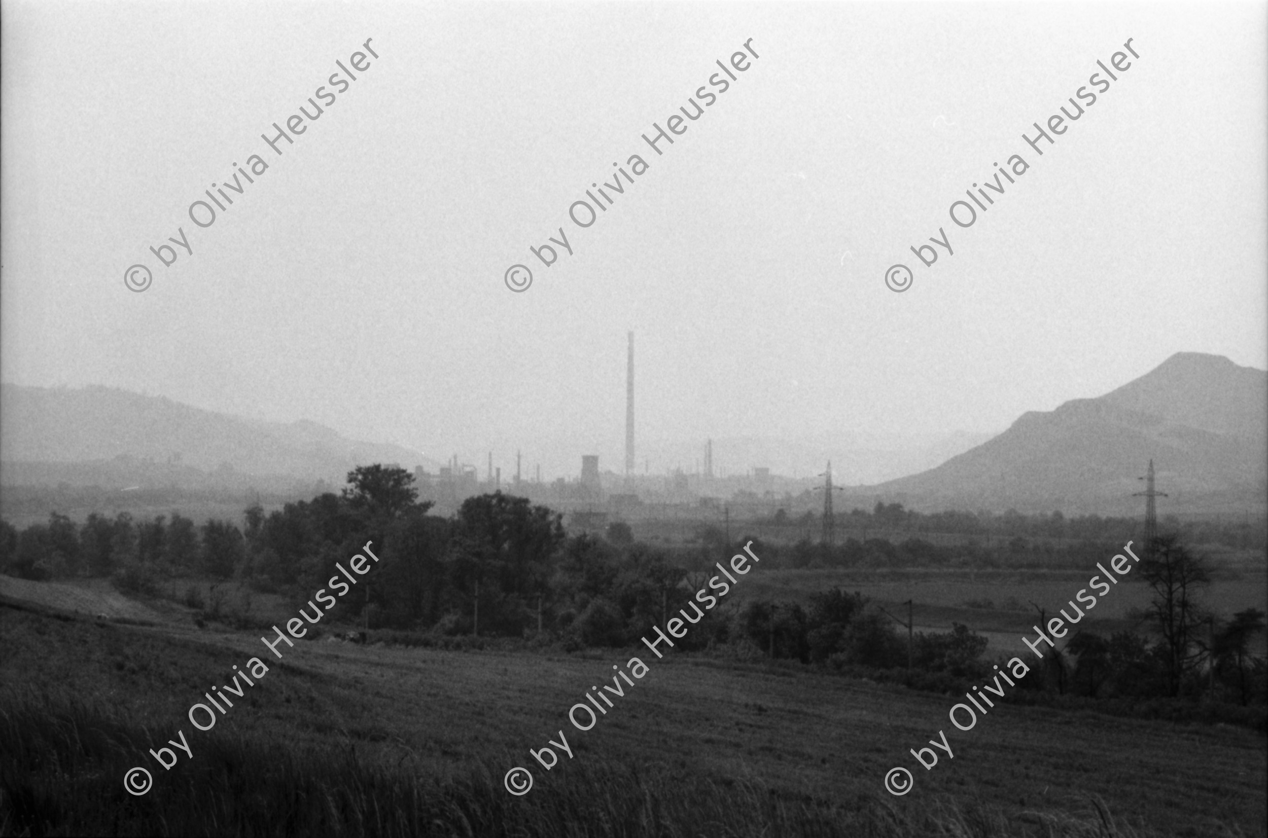 Image of sheet 19900470 photo 33: Nachdem ich mit der SRK Schweizerisches Rotes Kreuz, Beamtin ohne Dolmetscher, da nicht für Romni interessiert, ins Dorf für ungarisch stämmige fuhr, hat sich die Meinung der Beamtin über die Roma schlagartig geändert. Die Romni Roma klauten, bissen und spuckten uns nicht an. In Copsa Mica trafen wir Angehörige der Jambasi. Sie sind nicht sesshafte Viehändler. Die Kirchenburg steht in Prejmer.
 Die alten Sachsen sprechen noch Deutsch.
Copsa Mica, Rumänien Romania 1990

The Roma (Roma in Romani; Romi or Țigani in Romanian) constitute one of the largest minorities in Romania. According to the 2011 census, they number 619,007 people or 3.2% of the total population, being the second-largest ethnic minority in Romania after Hungarians. The Roma are Romania's most socially and economically disadvantaged minority, with high illiteracy levels