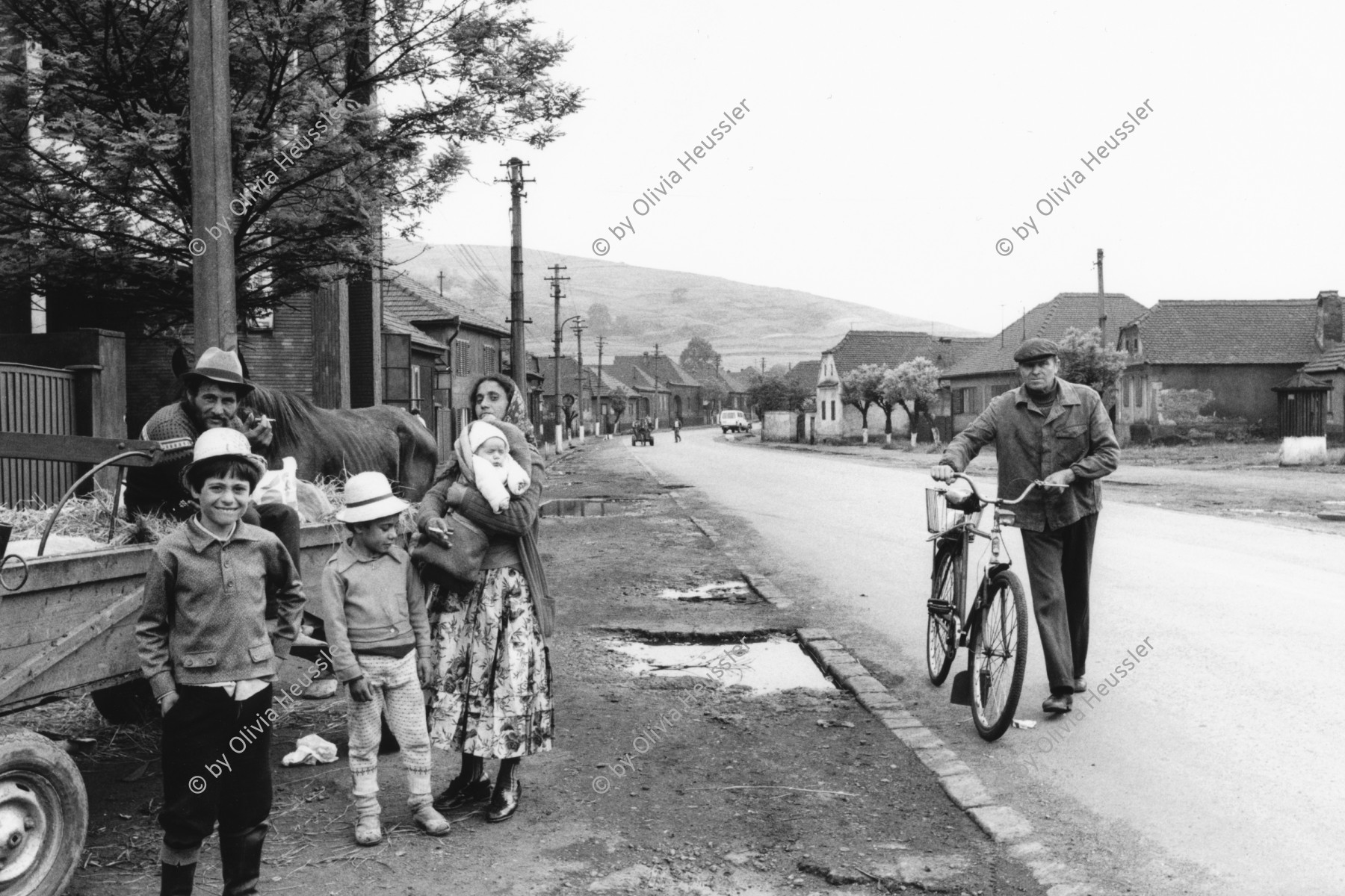 Image of sheet 19900480 photo 11: Die Jambasi Roma kommen ursprünglich aus Ungarn,nicht sesshaft und arbeiten als Viehändler. Copsa Mica Rumänien 05.90 Rumania Romania 1990 √
The Jambasi originally from Hungary, and not sedentary work as horse dealer.

The Roma (Roma in Romani; Romi or Țigani in Romanian) constitute one of the largest minorities in Romania. According to the 2011 census, they number 619,007 people or 3.2% of the total population, being the second-largest ethnic minority in Romania after Hungarians. The Roma are Romania's most socially and economically disadvantaged minority, with high illiteracy levels