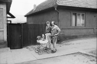 Image of sheet 19900480 photo 20: Die Jambasi Roma kommen ursprünglich aus Ungarn, nicht sesshaft und arbeiten als Viehändler. Copsa Mica Rumänien 05.90 Rumania Romania 1990 √
Gruppenbild
The Jambasi originally from Hungary, and not sedentary work as horse dealer.

The Roma (Roma in Romani; Romi or Țigani in Romanian) constitute one of the largest minorities in Romania. According to the 2011 census, they number 619,007 people or 3.2% of the total population, being the second-largest ethnic minority in Romania after Hungarians. The Roma are Romania's most socially and economically disadvantaged minority, with high illiteracy levels