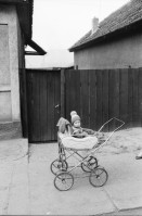 Image of sheet 19900480 photo 21: K
