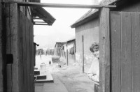 Image of sheet 19900480 photo 25: Die Jambasi Roma kommen ursprünglich aus Ungarn, nicht sesshaft und arbeiten als Viehändler. Copsa Mica Rumänien 05.90 Rumania Romania 1990 √
Gruppenbild
The Jambasi originally from Hungary, and not sedentary work as horse dealer.

The Roma (Roma in Romani; Romi or Țigani in Romanian) constitute one of the largest minorities in Romania. According to the 2011 census, they number 619,007 people or 3.2% of the total population, being the second-largest ethnic minority in Romania after Hungarians. The Roma are Romania's most socially and economically disadvantaged minority, with high illiteracy levels