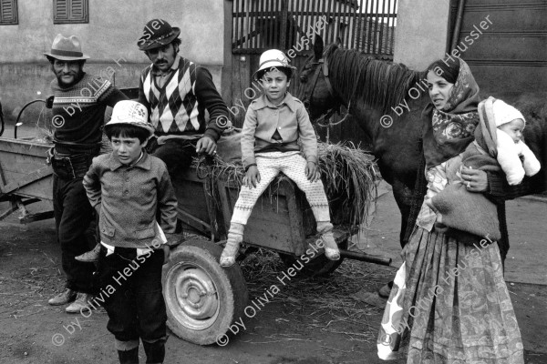 Image of sheet 19900480 photo 4: Die Jambasi Roma arbeiten als Viehändler, Copșa Mică, Rumänien, 1990. Gruppenbild Romania Rumania 
(Spiegel) Familie Baby Mutter mit Säugling. Pferd pferdewagen Männer Mann Kinder Jambazi