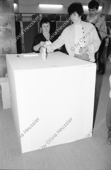 Image of sheet 19900490 photo 0: Wahlen. Rom beim wählen. Der Parteivorsitzende mit seinen Mitarbeitern Mihai im Büro einer der Romni Parteien.Bei der Familie Mihai. Familie Mihai geht ins Wahllokal. Die Grossmutter hat Jahre in Internierungslager im heutigen Moldavien Moldavia ehemalige Sovietunion,  leben müssen, ist auch dabei. Nr. 18. 2 Kinder mit Kinderwagen. Familie Tatu wählen zu Hause. PK in Bukarest. Nr. 23 li: Ivan Gheorghe parlamentarier, Mi: Nikolae Gheorghe. Re: Prof. Raditz.Nr. 31 Luminita Cioaba (mi). US Demokraten und Republikaner National Affairs, überwachten die Wahlen. PK. 

Sibiu. 1990 Romania Rumänien Rumania 
Roma Romi Zigeuner Gypsies for the first elections after 40 years. 
democratical demokratie process prozess