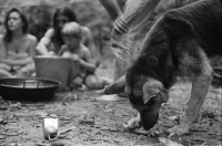 Image of sheet 19900560 photo 15: Mann trägt TV Bäckerei. Indianisches Schwitzbad im Wald. Ein Schaf wurde für Regis der Hippie mit den Dreadlocks geschächtet. Die Stücke werden über der Glut wo die Steine für die Sauna schmoren, gebraten. Kind. Daniel Kesselring.  Nackte Männer Piramide im Fluss. Sauna Baum. Trockenheit. Daniel Kesselring und Jaques. Tankstelle verostet. Saint Affrique Frayssinous
Frankreich 1990