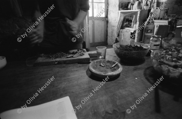 Image of sheet 19900570 photo 4: Das Haus. Die Küche mit Kuchen. Markus , Riti Sharma Grabungen. Garten. Wasser. Bei Michel in Avignon, sein Haus. Daniel Kesselring. Das Haus ist mit Recycling Material von Hand gefertigt. Michel hat es selber gezeichnet. Portrait Michel und Daniel. France Frankreich 1990 Saint- Affrique