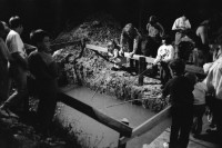 Image of sheet 19900660 photo 20: E