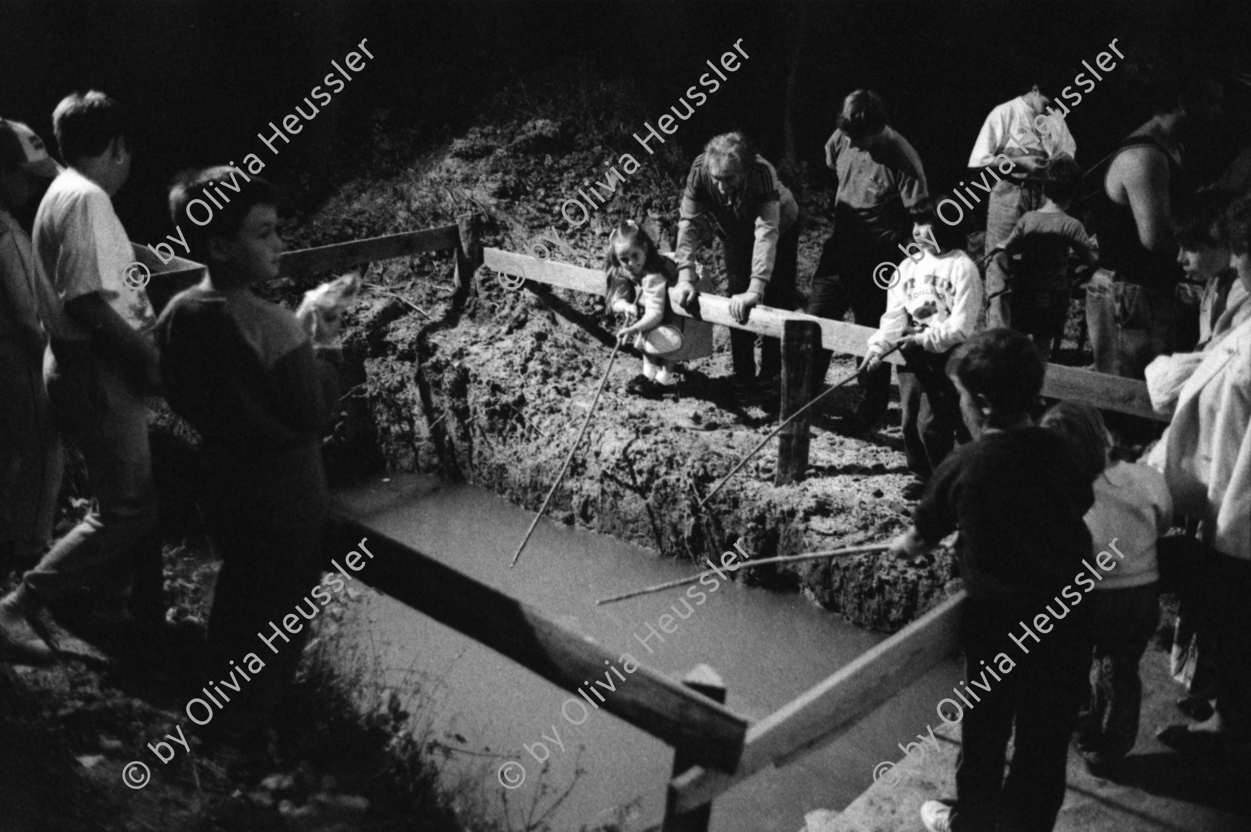 Image of sheet 19900660 photo 20: E