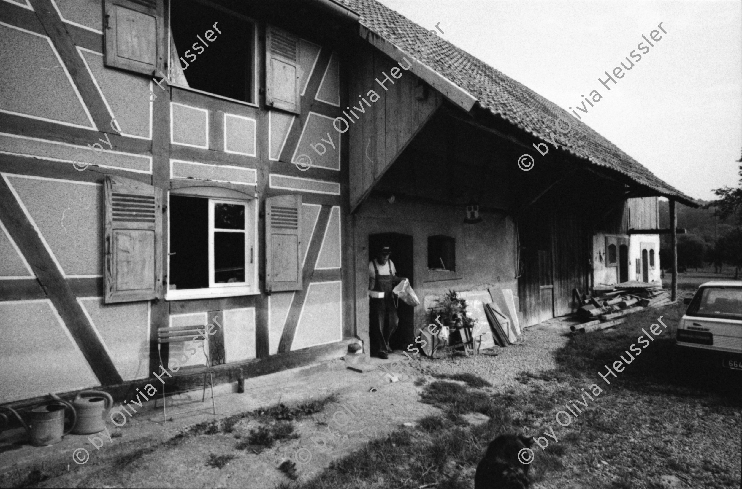 Image of sheet 19900660 photo 28: P