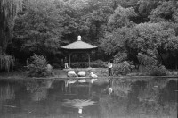 Image of sheet 19900760 photo 16: Portrait Marx Maux Graustr. 54 80 Dresden 86 jährig. In Winterthur geboren und Glockengiesser. Brücke Blaues Wunder in Dresden eingerüstet. Alteisen. In einer Home Gallery Galerie verbarikatierte Fenster. Eingang zum Volkspark Friedrichshain in Berlin. Denkmal zum Weltfriedenstag 01.09.89 von Hiroshima. grosse Glocke. Polen Denkmal 'Für Eure und unsere Freiheit'. Junge Skater Skaten mit Board über Treppe. Besetztes Haus Neue Schönhauserstr. 13 1020 Berlin. Ost Ostdeutschland Deutschland vor der Wende 1990 East Germany