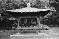 Image of sheet 19900760 photo 17: '