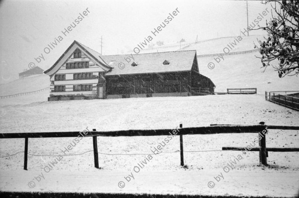 Image of sheet 19900940 photo 3: Winterszene auf Strasse Bauernhaus im Schnee. Kanton Appenzell. Portrait Gilda Perez und Ramon Grandal aus Cuba. Zürich 1990