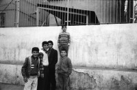 Image of sheet 19900980 photo 29: rtsg. Istanbul Strassenszenen Männergruppe Bulgarinnen. Bucak und Leman Firtina. Portrait im Büro der Zeitung Yüsil. Peschmerga aus dem Irak. Männer sitzen an der wärmenden Sonne und trinken Tee. Grill. Kleiner Junge verdient sein Geld mit einer Personenwaage. Soldat vor der alten Stadtmauer. Frauen vermummt mit Kopftüchern. Gruppe Jungen Knaben Buben. Fundamentalistin. Person unscharf vor einem Brottransport. Junge auf Esel. Türkei Kurden Kurdistan Turkey Kurds 1990