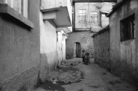 Image of sheet 19900980 photo 35: rtsg. Istanbul Strassenszenen Männergruppe Bulgarinnen. Bucak und Leman Firtina. Portrait im Büro der Zeitung Yüsil. Peschmerga aus dem Irak. Männer sitzen an der wärmenden Sonne und trinken Tee. Grill. Kleiner Junge verdient sein Geld mit einer Personenwaage. Soldat vor der alten Stadtmauer. Frauen vermummt mit Kopftüchern. Gruppe Jungen Knaben Buben. Fundamentalistin. Person unscharf vor einem Brottransport. Junge auf Esel. Türkei Kurden Kurdistan Turkey Kurds 1990