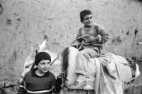Image of sheet 19900980 photo 37: rtsg. Istanbul Strassenszenen Männergruppe Bulgarinnen. Bucak und Leman Firtina. Portrait im Büro der Zeitung Yüsil. Peschmerga aus dem Irak. Männer sitzen an der wärmenden Sonne und trinken Tee. Grill. Kleiner Junge verdient sein Geld mit einer Personenwaage. Soldat vor der alten Stadtmauer. Frauen vermummt mit Kopftüchern. Gruppe Jungen Knaben Buben. Fundamentalistin. Person unscharf vor einem Brottransport. Junge auf Esel. Türkei Kurden Kurdistan Turkey Kurds 1990